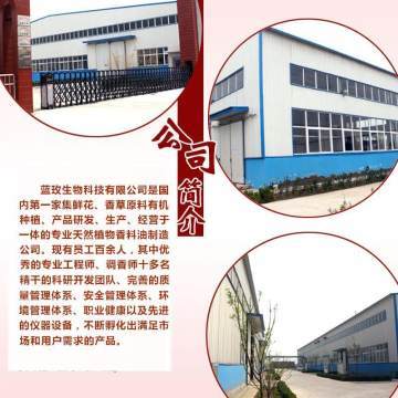 天竺葵純露 深層凈化肌膚，煥活水潤光彩——藍(lán)玫丫廠家直銷美容院裝專業(yè)解析